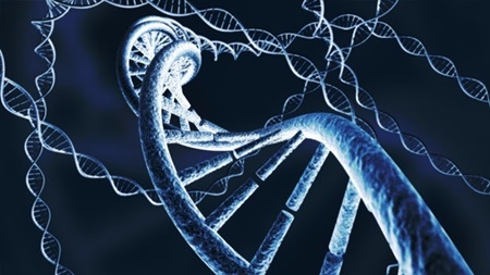 ورود ۶۵ میلیون دلاری دارپا به جهان ویرایش ژنتیکی