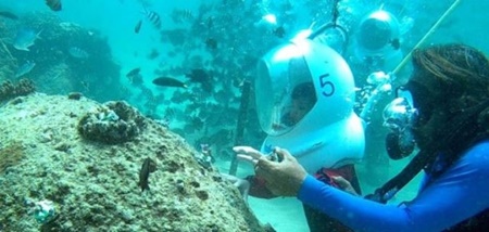 کاشت مرجان‌های دریایی با حضور کودکان در آب‌های کم عمق سواحل اندونزی