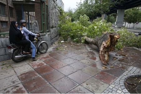 طوفان ۳۰ میلیارد ریال به ‌مشگین شهر خسارت زد