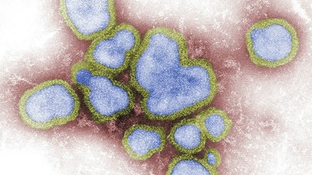 تایید شدن یک داروی موثر ضد آنفلوانزا در ژاپن