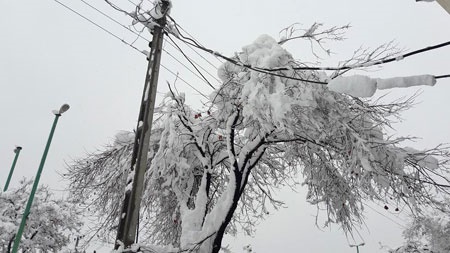 18-4-16-132143snowing.jpg