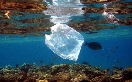 پلاستیک‌های غوطه‌ور در دریا حامل باکتری‌های خطرناک هستند     