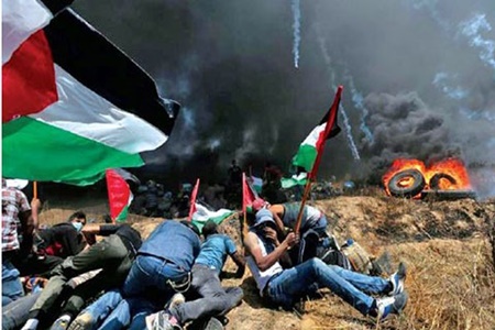 محکومیت جهانی جنایت صهیونیست‌ها علیه غزه 