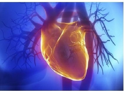 دستورالعمل جدید سازمان جهانی بهداشت برای کنترل بیماری قلبی