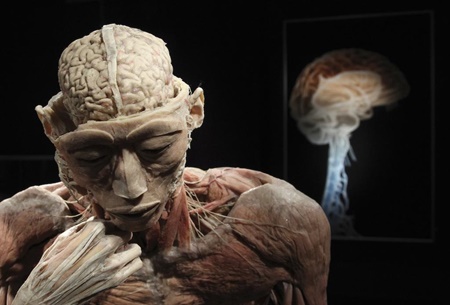 در مغز مجسمه‌ساز چه می‌گذرد؟