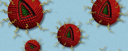 ابداع نانوذراتی که ایمنی سلول‌ها را در برابر سرطان افزایش می‌دهند