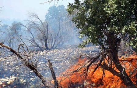 ۱۸۰ هکتار از اراضی میانکاله در آتش سوخت