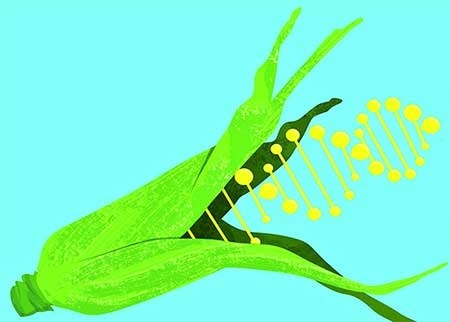 تراریخته؛ از شایعه تا واقعیت