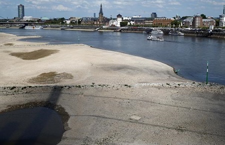 هزاران ماهی در رودخانه راین آلمان از گرما تلف شدند