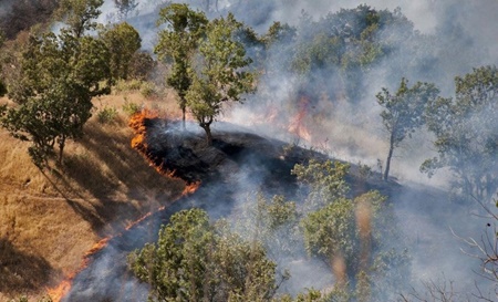کاهش ۲۸ درصدی آتش‌سوزی در مناطق تحت مدیریت سازمان محیط زیست