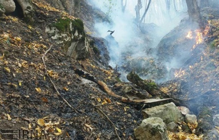 بخش‌هایی از جنگل ابر شاهرود دچار آتش‌سوزی شد
