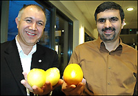 محمد طاهرزاده - سمت راست