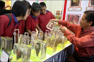 دانش‌اموزان تایلندی در حال آموزش در مورد مضرات سیگار 
