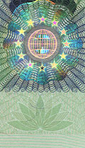 Schengen Visa
