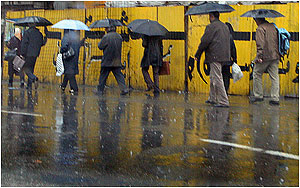 یک روز بارانی در تهران-محمد توکلی