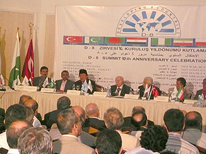 Developing 8 Countries