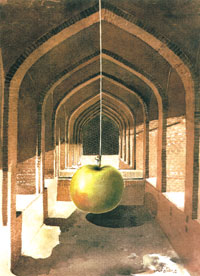 006897.jpg
