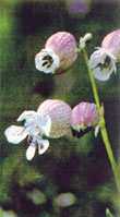 008436.jpg