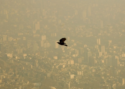 علت گرد و خاک دیشب تهران چه بود؟ | جنوب و جنوب غربی شهر در معرض آلودگی شدید
