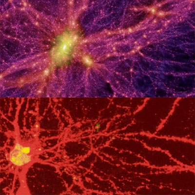neuron-galaxy