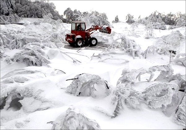 گزارش تصویری از  برف سنگین اروپا
