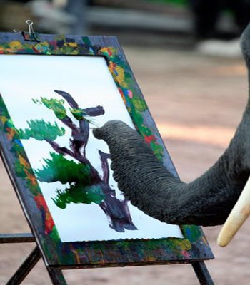 فیل نقاش