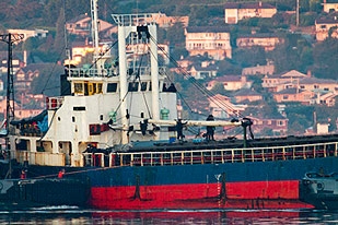 Tamil migrant ship docks in Canada
