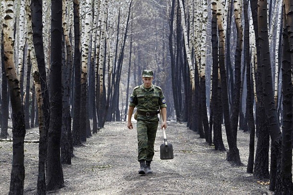 آتش‌ در جنگل‌های روسیه