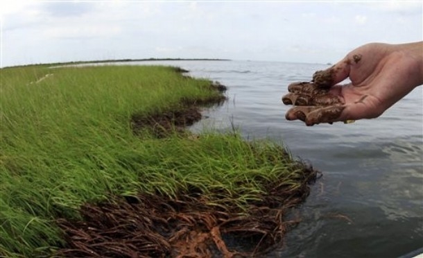 هشدار درباره آثار بلندمدت آلودگی نفتی خلیج مکزیک