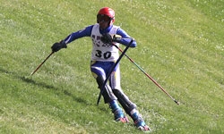 اسکی روی چمن