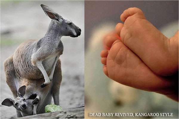 Dead Baby -Kangaroo Style