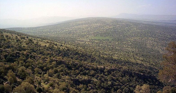 منطقه حفاظت شده مانشت ایلام