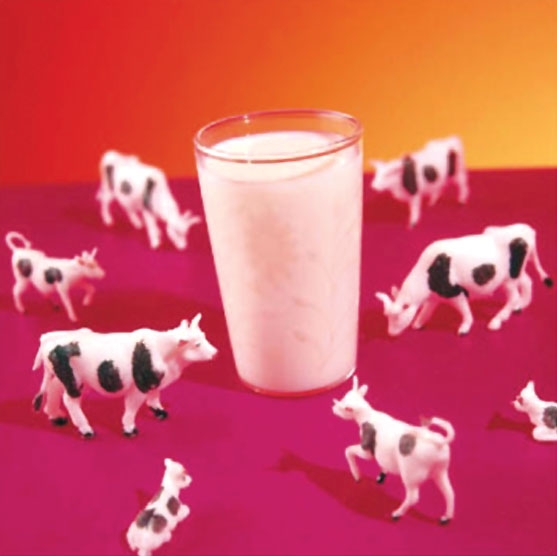 دوچرخه 569