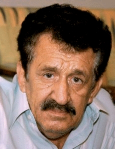 محسن یوسف‌بیک