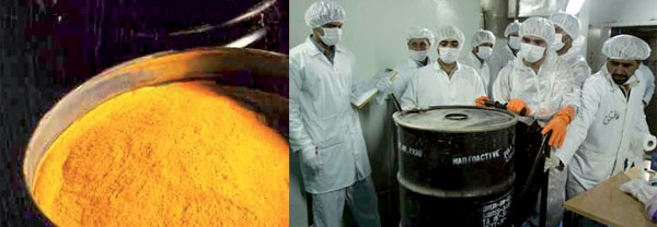 هسته ای- کیک زرد