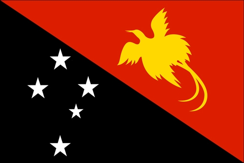 گینه نو