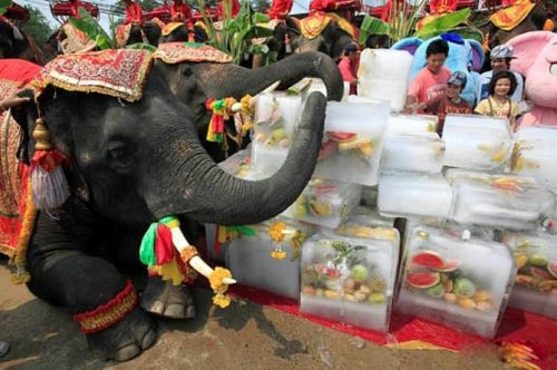 روز ملی فیل در تایلند