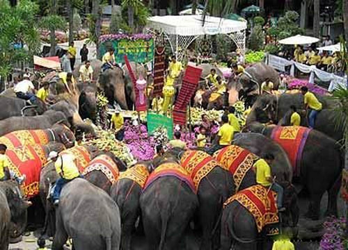روز ملی فیل در تایلند