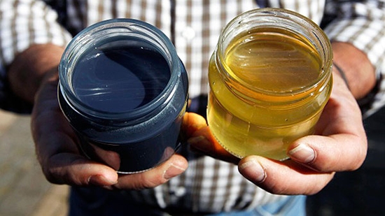 تولید عسل‌های سبز و آبی رنگ در فرانسه