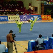 wushu