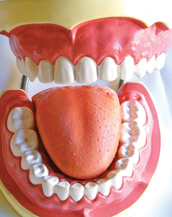 دندان 