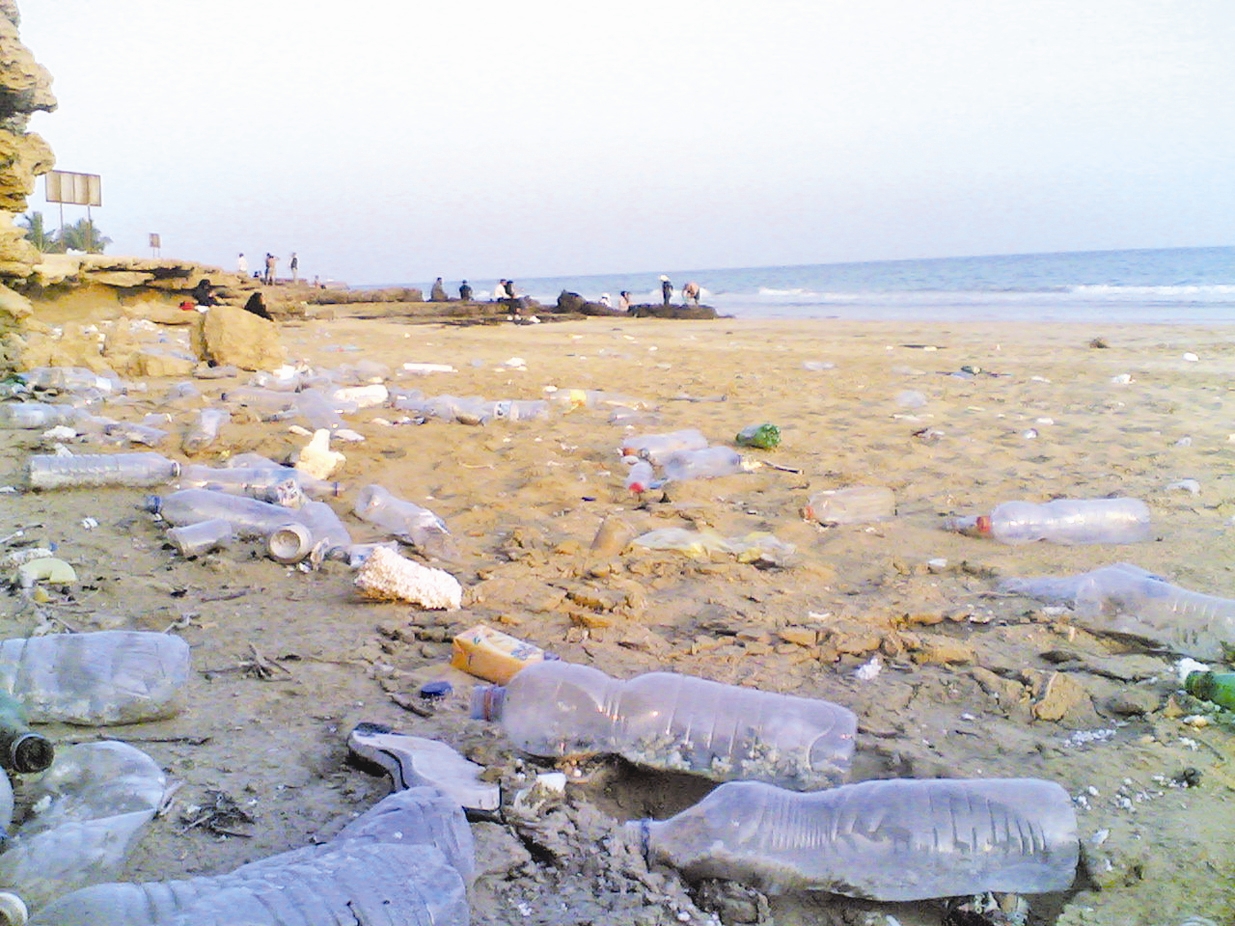 زباله - سواحل جزیره قشم