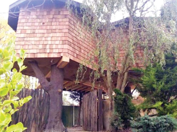 خانه درختی 