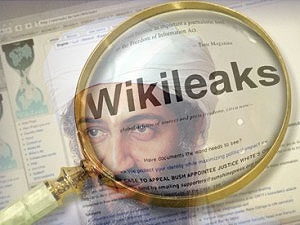bin ladin wikileaks