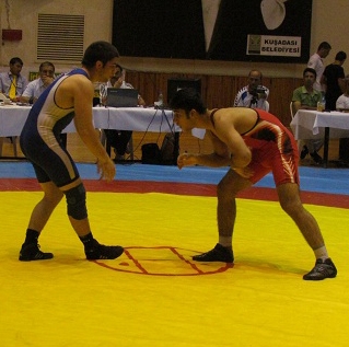 wrestling