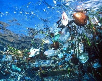 اقیانوس - آلودگی پلاستیکی