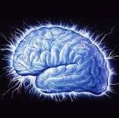 کشف عامل توانایی فوق‌العاده مغز انسان
