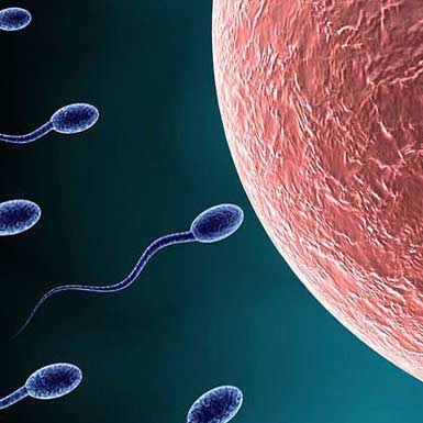 درمان ناباروری مردان با تولید اسپرم از نمونه پوستی