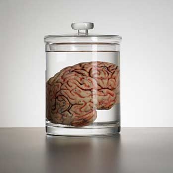دانش فنی زنده نگه داشتن آزمایشگاهی بافت مغز در کشور
