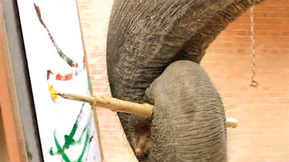 فیل نقاش 